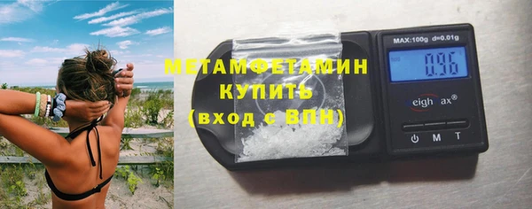 шишки Аркадак