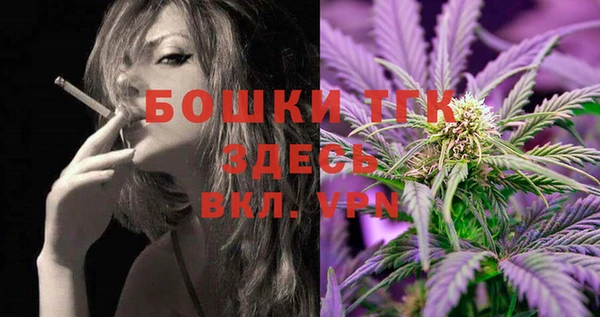 шишки Аркадак