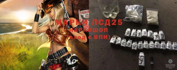 шишки Аркадак