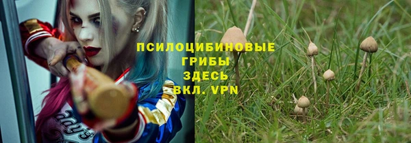 шишки Аркадак