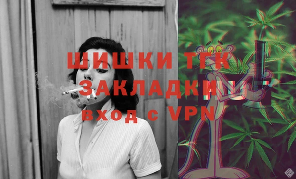 шишки Аркадак