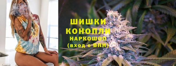 шишки Аркадак