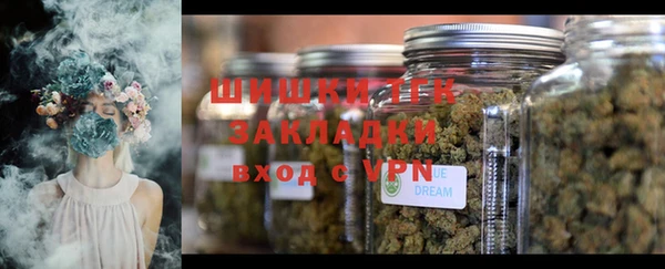 шишки Аркадак