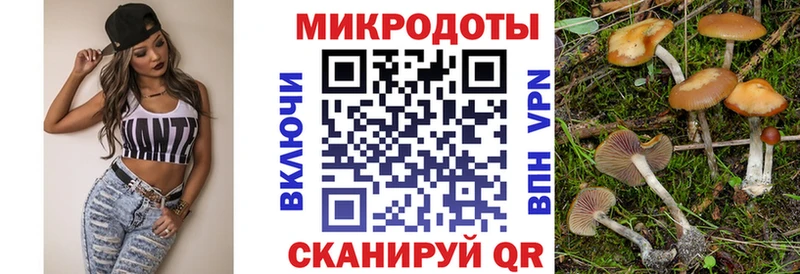 Псилоцибиновые грибы MAGIC MUSHROOMS  Мамадыш 